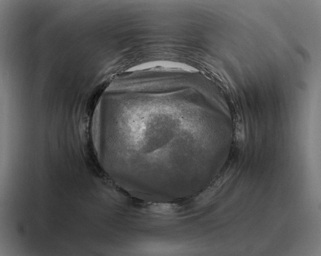 X0000116800332200912311941