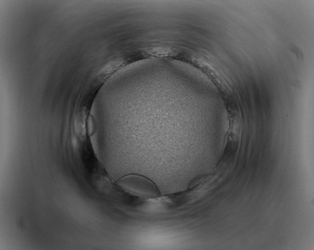 X0000116800334200912311941