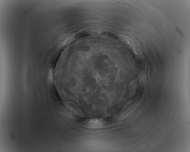 X0000116800335200912311941