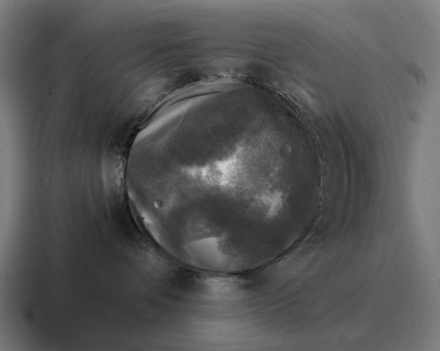 X0000116800336200912311941