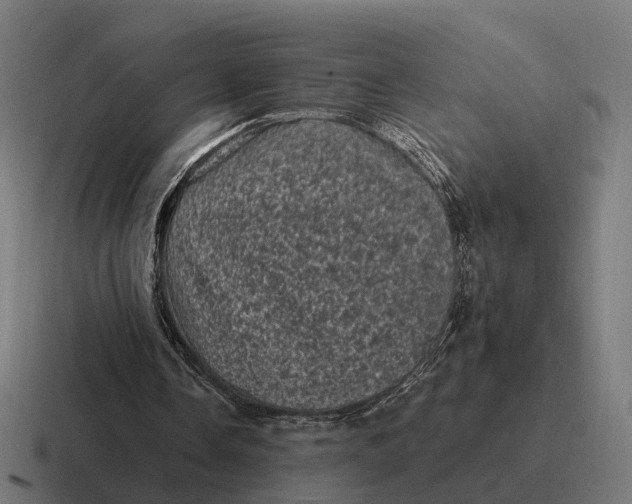 X0000116800338200912311940