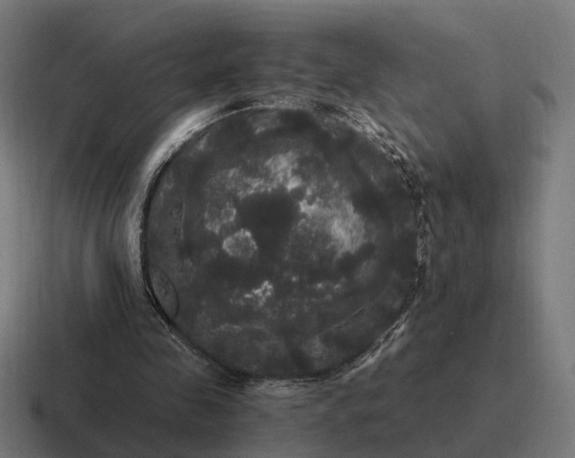 X0000116800341200912311940