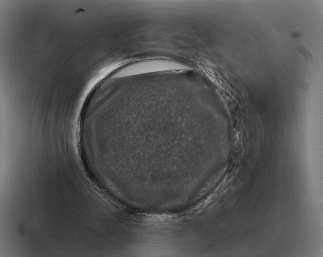 X0000116800342200912311940