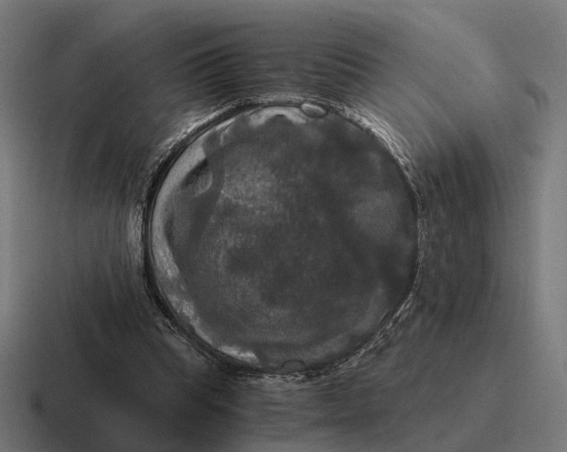 X0000116800345200912311940