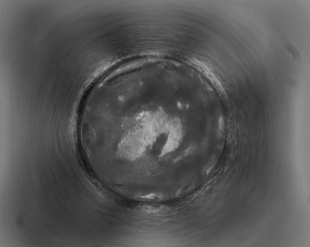 X0000116800346200912311940