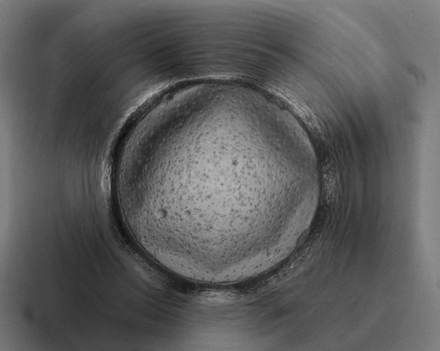 X0000116800350200912311940