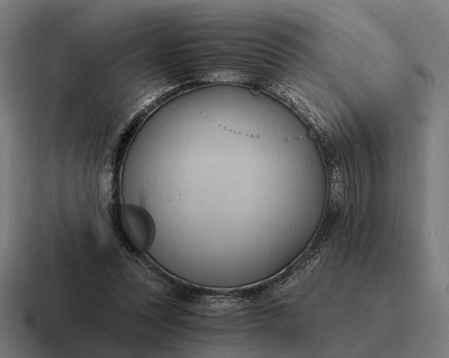 X0000116800351200912311940