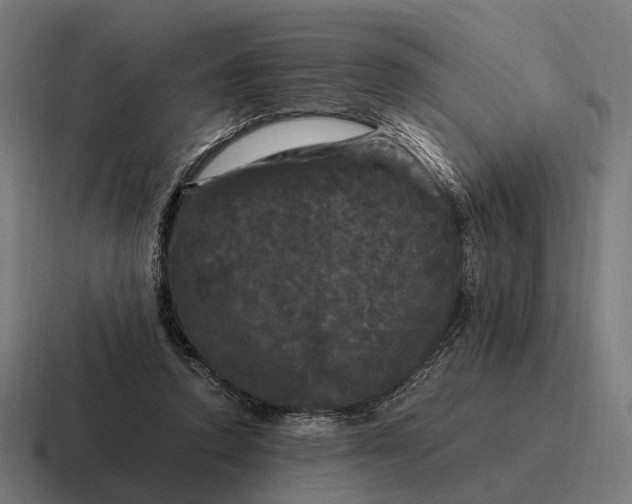 X0000116800354200912311940