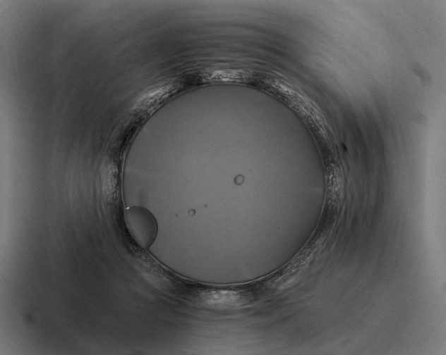 X0000116800361200912311941