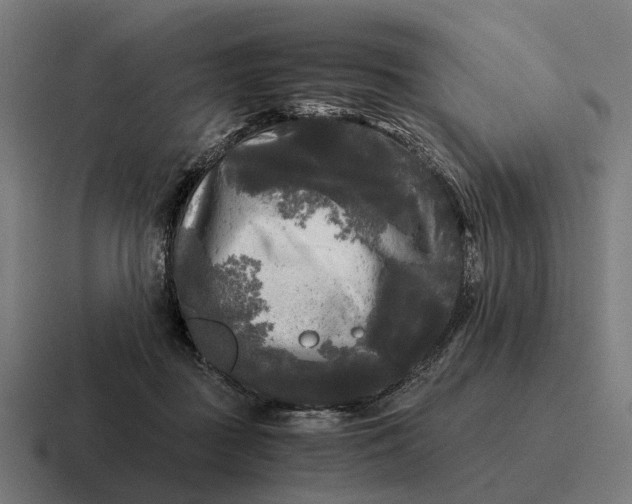 X0000116800363200912311941