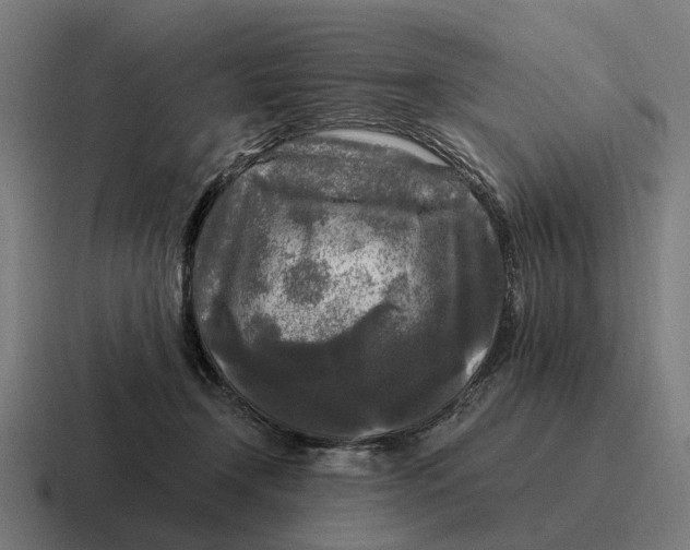 X0000116800366200912311941