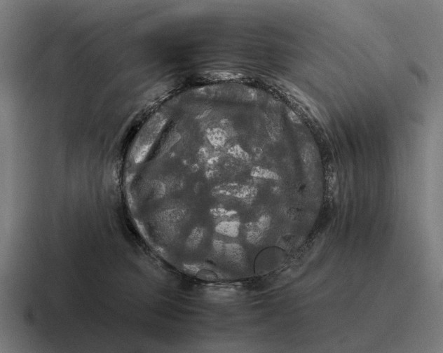 X0000116800373200912311941