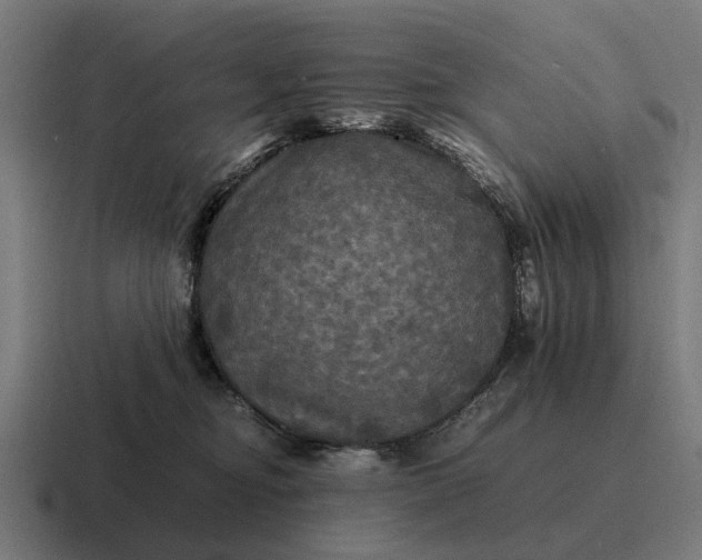 X0000116800374200912311941