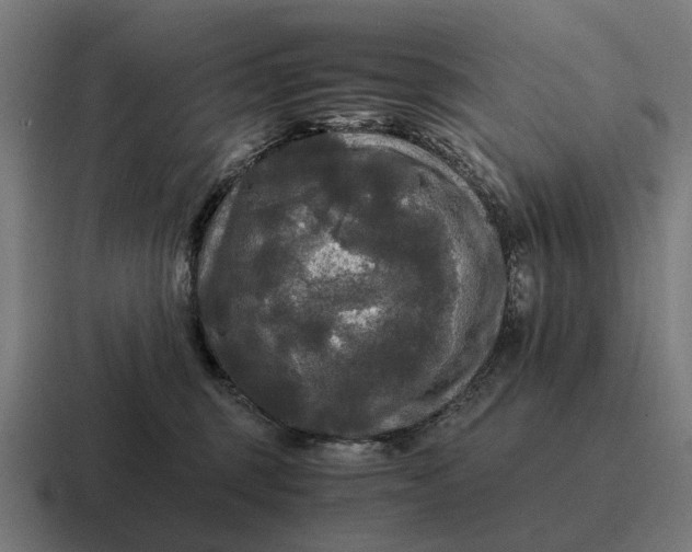 X0000116800375200912311941