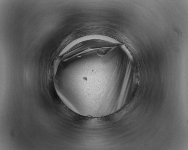 X0000116800382200912311941