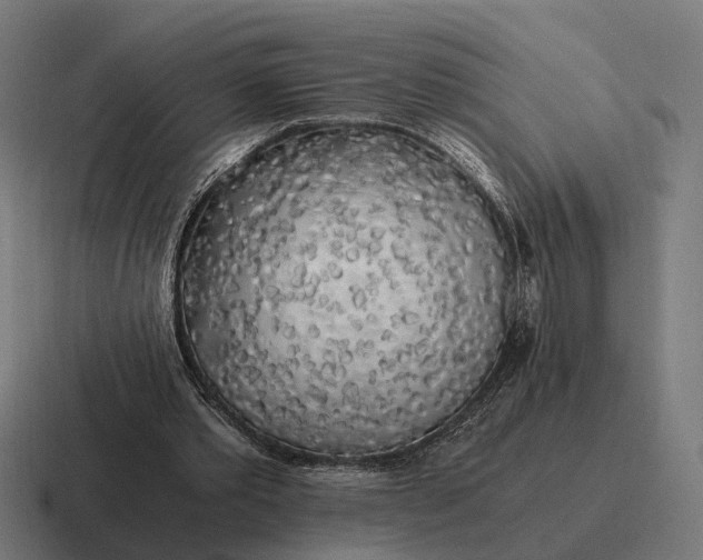 X0000116800389200912311940