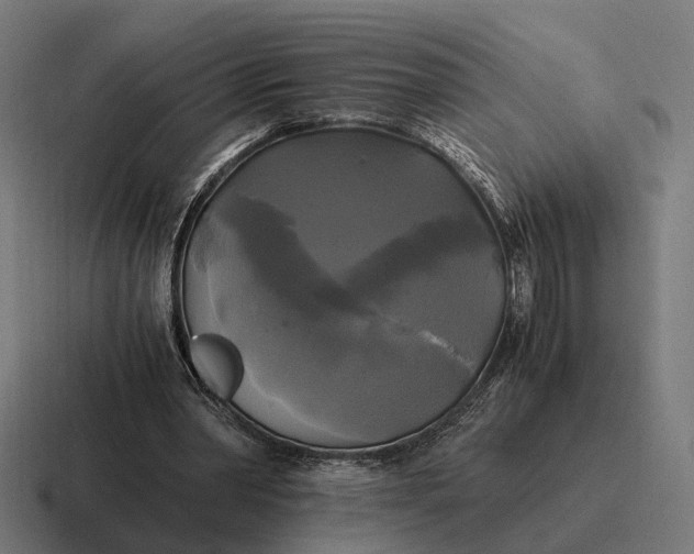 X0000116800390200912311940