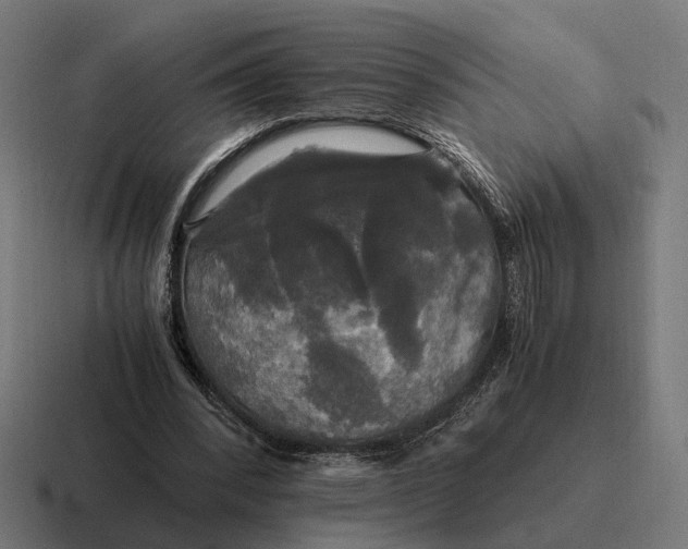 X0000116800392200912311940