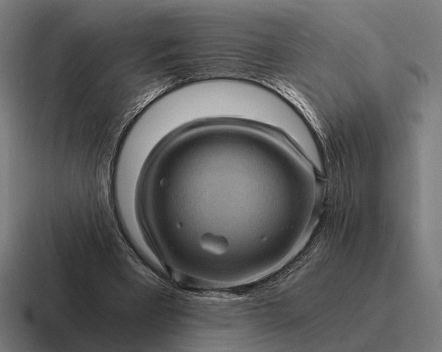 X0000116800393200912311940