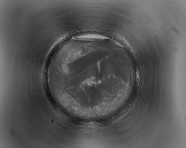 X0000116800396200912311940