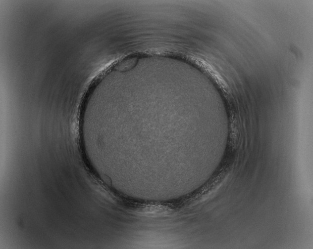 X0000116800399200912311940