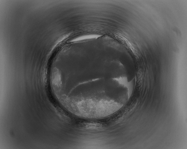 X0000116800400200912311940