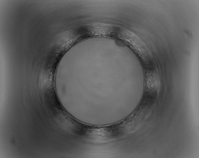 X0000116800411200912311940