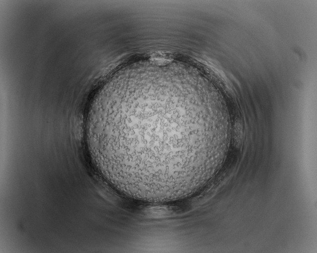 X0000116800413200912311940