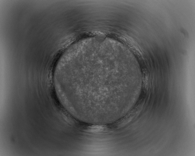 X0000116800418200912311940