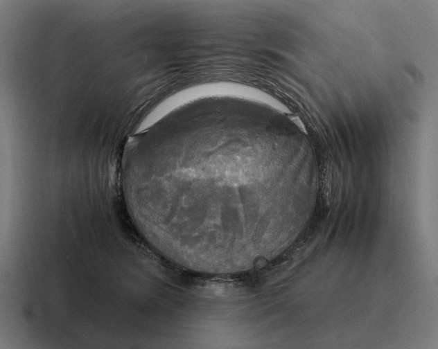 X0000116800420200912311940