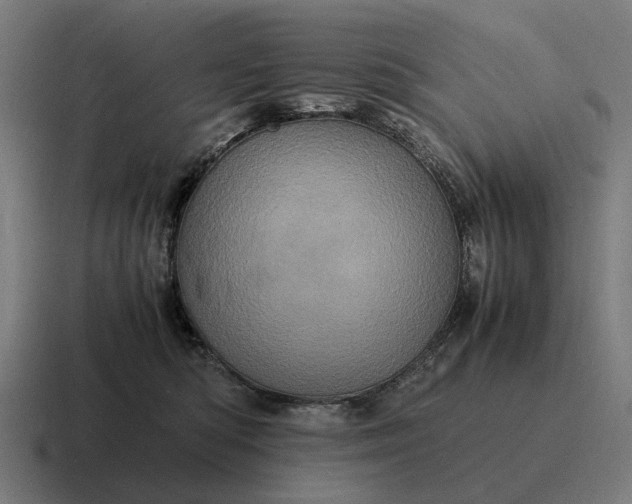 X0000116800422200912311940