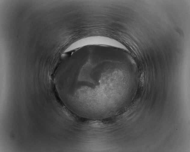 X0000116800424200912311940