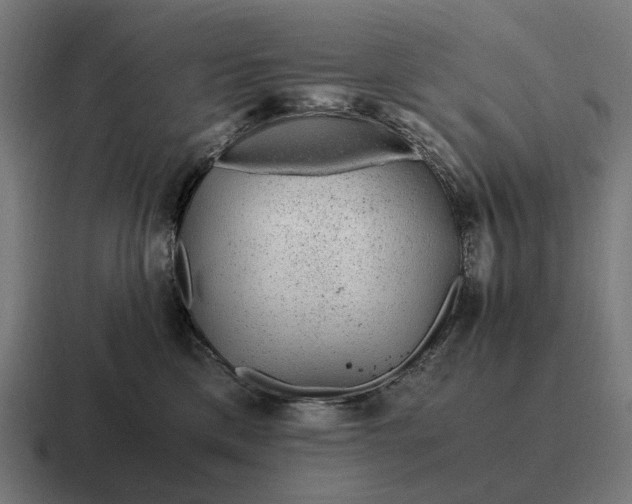 X0000116800425200912311940