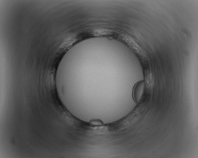 X0000116800426200912311940