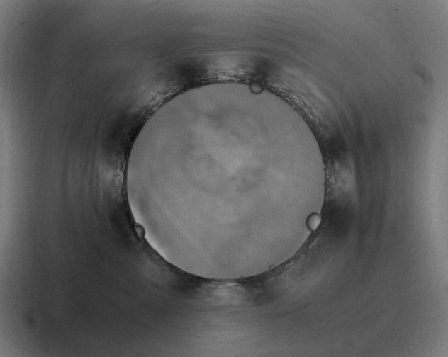 X0000116800427200912311940