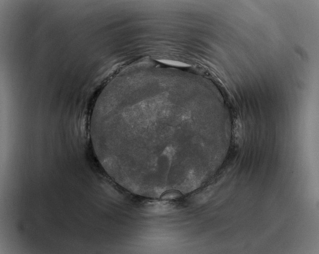 X0000116800428200912311940