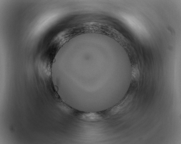 X0000116800431200912311940