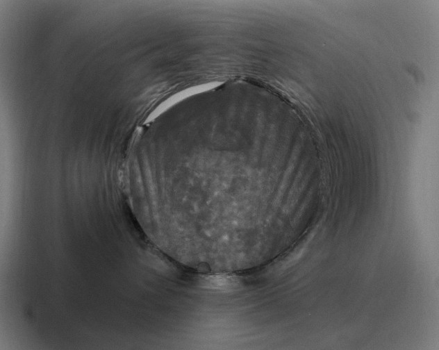 X0000116800432200912311940