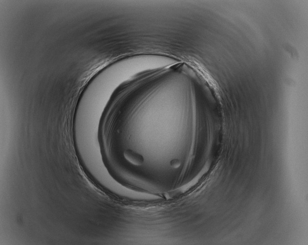 X0000116800433200912311939