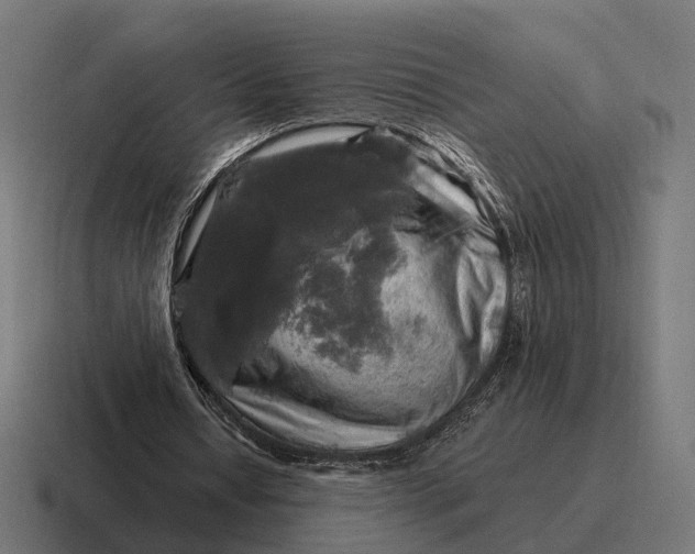 X0000116800434200912311939