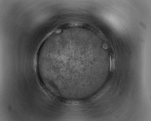 X0000116800435200912311939