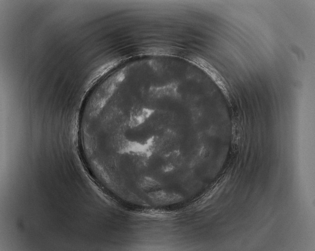 X0000116800437200912311939