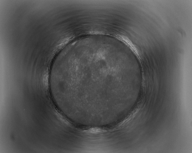 X0000116800441200912311939