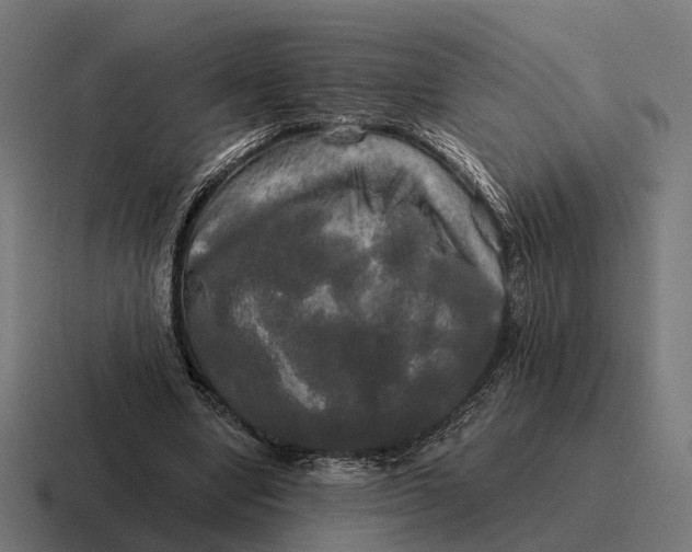 X0000116800442200912311939