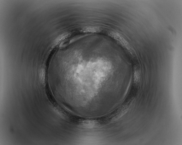 X0000116800444200912311939