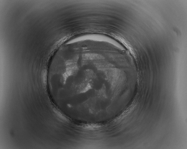 X0000116800445200912311939