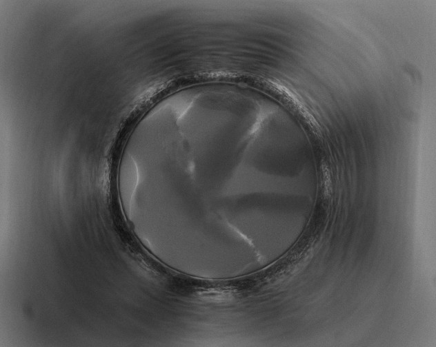 X0000116800447200912311939