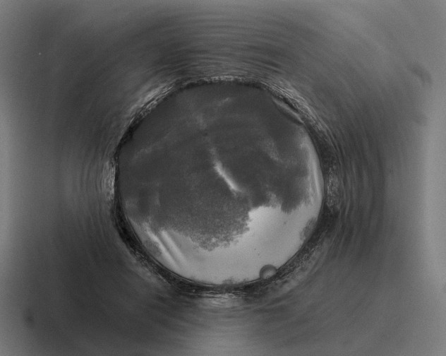 X0000116800454200912311939