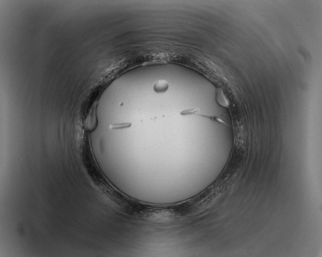 X0000116800456200912311939