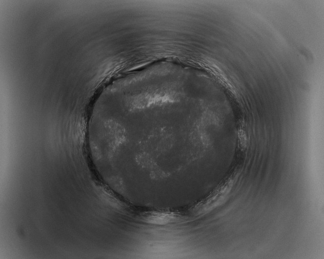 X0000116800458200912311939